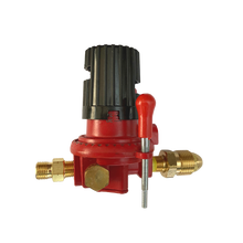 Load image into Gallery viewer, GR-330 0-30 PSI Regulator With or Without Fittings